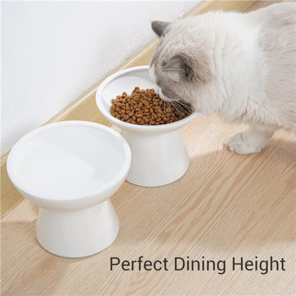 2 Extra Wide Raised Cat Food Bowl, Elevated Cat Bowls Anti-Vomiting Cat Feeder - Picture 4 of 7